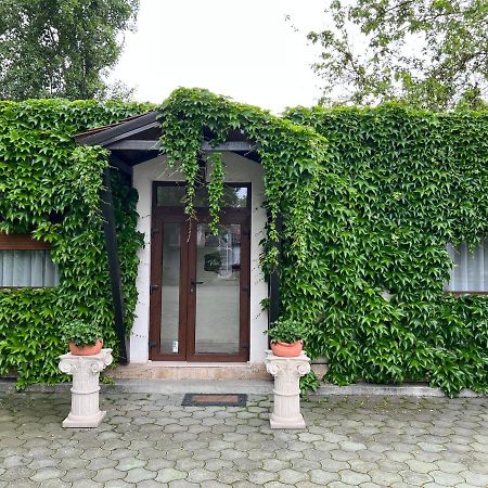 Vila Toscana Timişoara Exterior foto